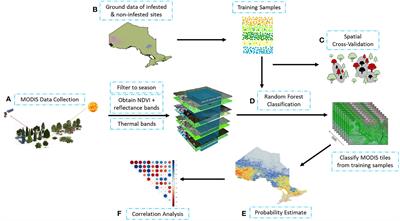 Climate change and human footprint increase insect defoliation across central boreal forests of Canada